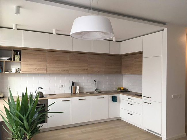 صفحه کابینت درخت سبز